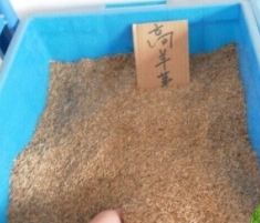 使用煙臺(tái)海藻酸鈉的應(yīng)用都有哪些范圍？